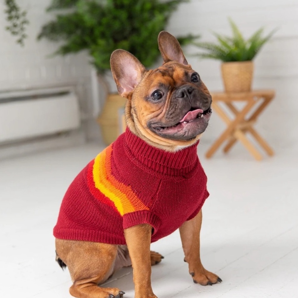 🐾 GF PET Authentic Multicolor Summit Sweater - Picture 10 of 11